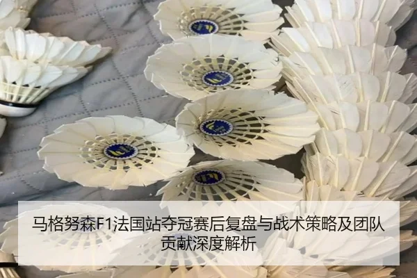马格努森F1法国站夺冠赛后复盘与战术策略及团队贡献深度解析